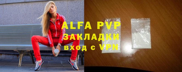 стаф Алексин