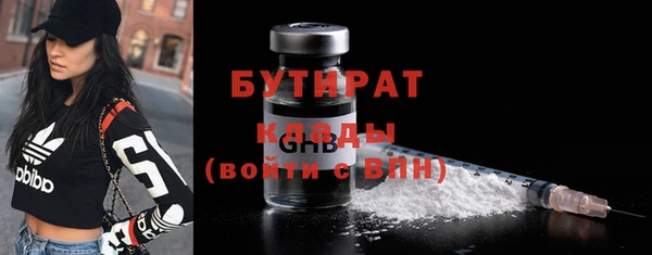 стаф Алексин