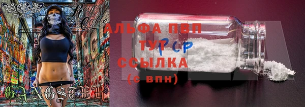 a pvp Алзамай